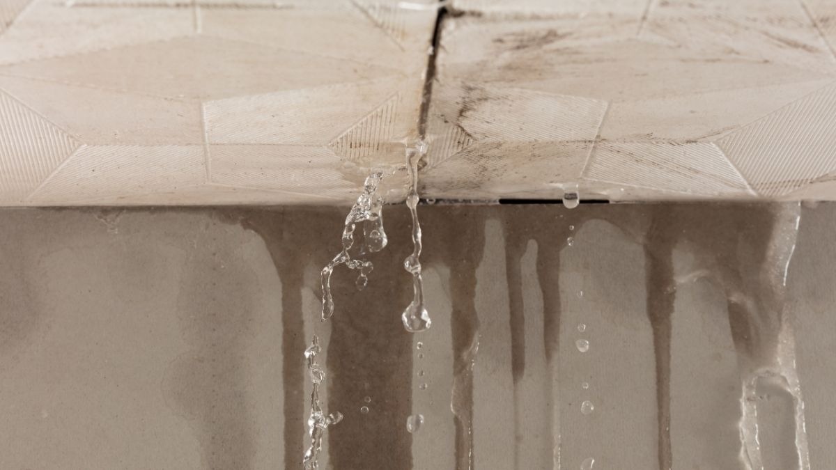 Provvedimento disciplinare per lo studente che fotografa il soffitto rotto: il paradosso del degrado scolastico - 