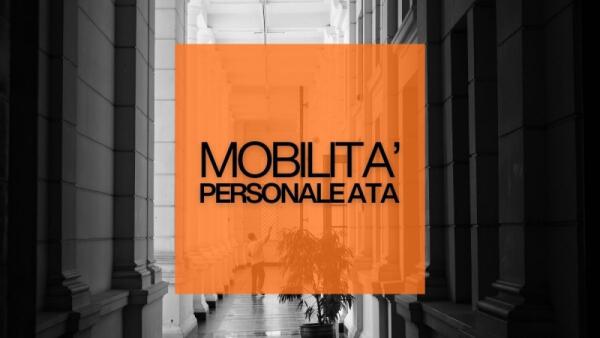 Mobilità ATA 2026: posti disponibili prima dei trasferimenti suddivisi per provincia [Aggiornato al 23 Maggio] 