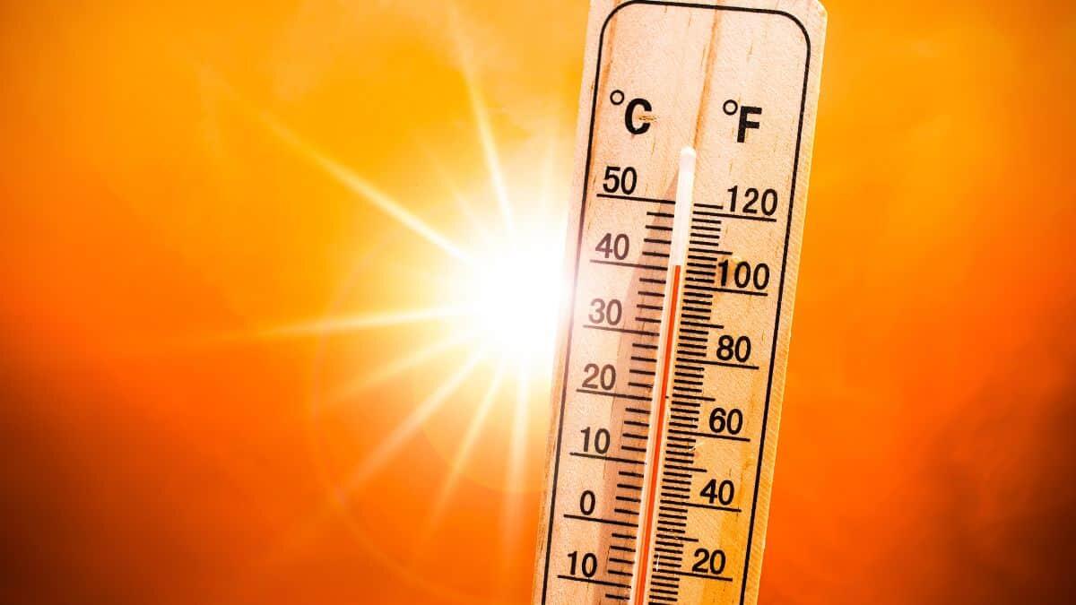 Caldo nelle aule di Reggio Emilia: studentessa perde i sensi a scuola - Le elevate temperature dovute ai cambiamenti climatici