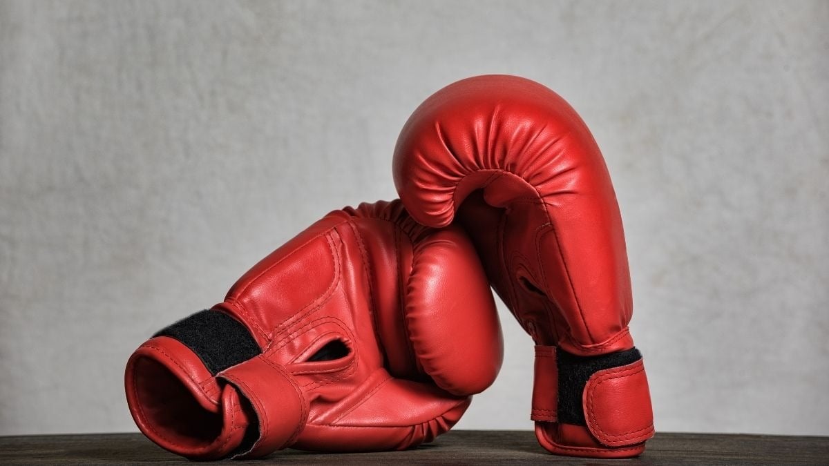 Boxe a scuola, la dirigenza inflessibile: ricorso della famiglia respinto a Mirandola - 