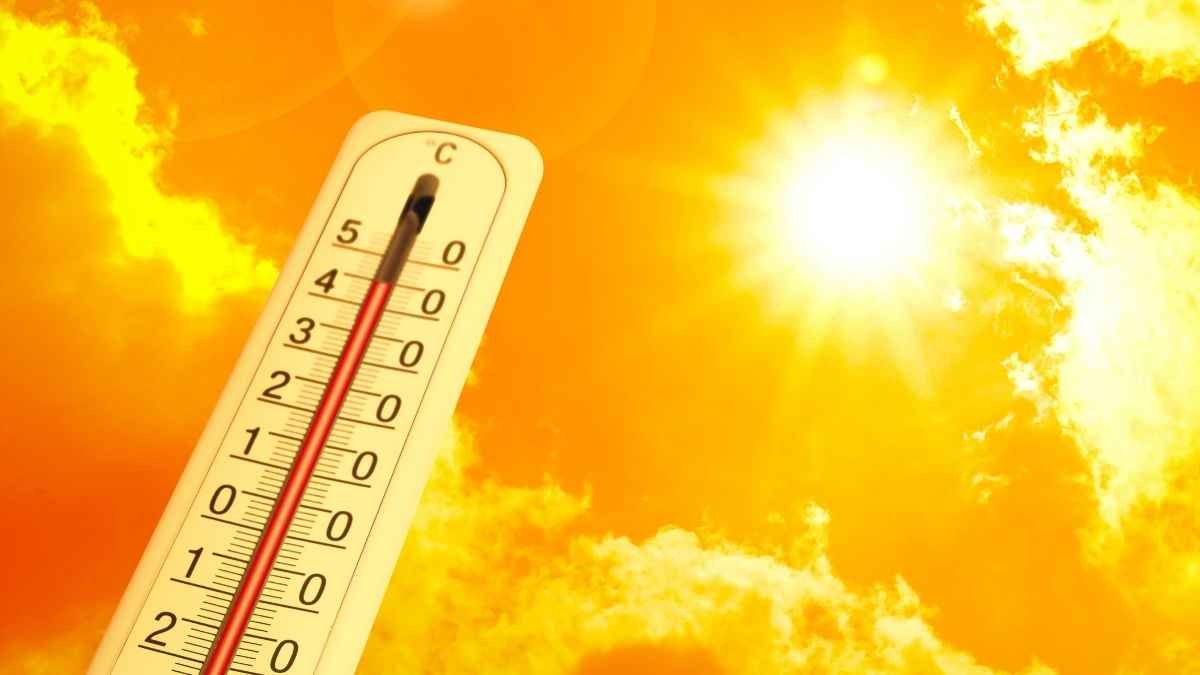 mateo da bollino rosso il 1176 luglio 25 citt224 a rischio caldo da Scuolalink.it mateo da bollino rosso il 1176 luglio 25 citt224 a rischio caldo