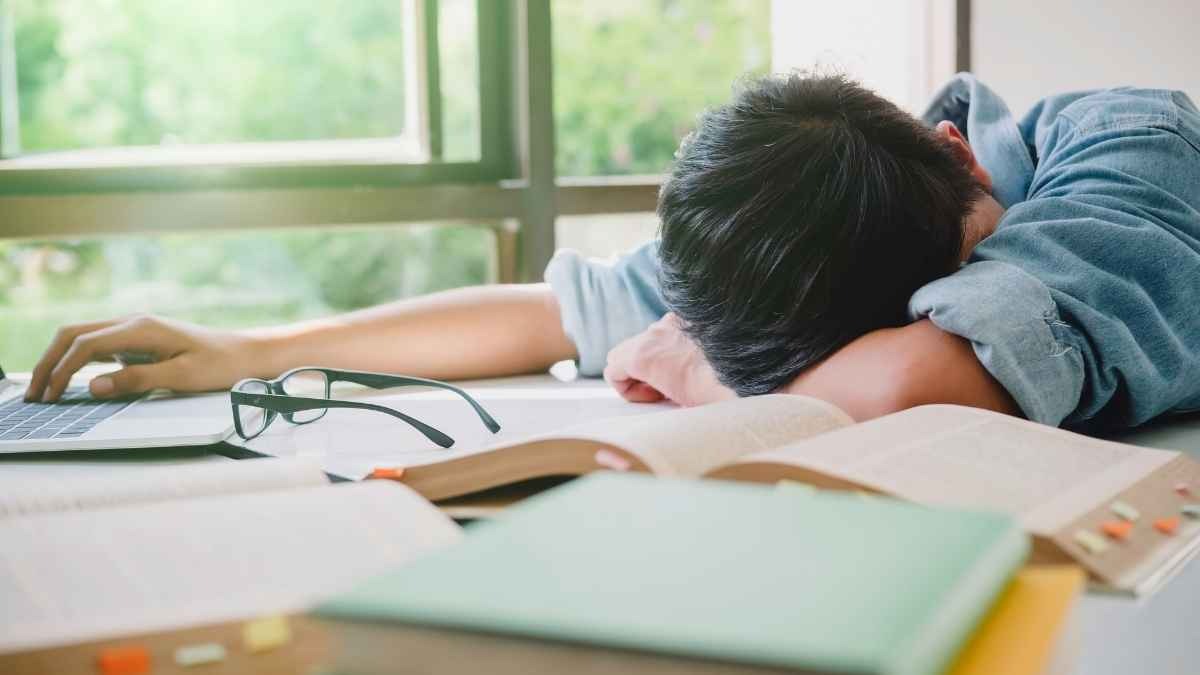 corsi di recupero estivi e sospensione del giudizio le criticit224 secondo il cnddu da Scuolalink.it corsi di recupero estivi e sospensione del giudizio le criticit224 secondo il cnddu